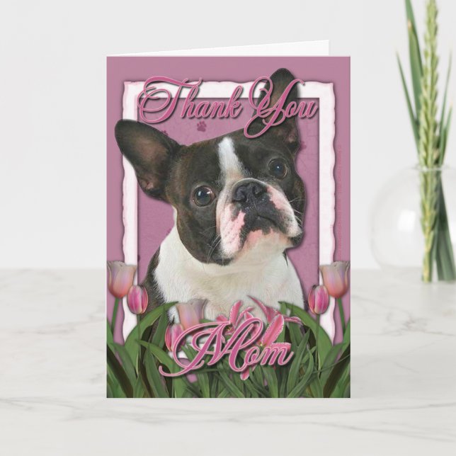 Merci - Tulipes roses - Boston Terrier (Devant)
