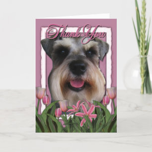Merci - Tulipes roses - Schnauzer