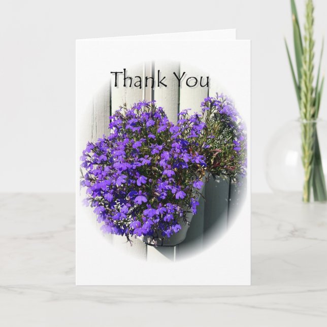 Merci Verbena (Devant)