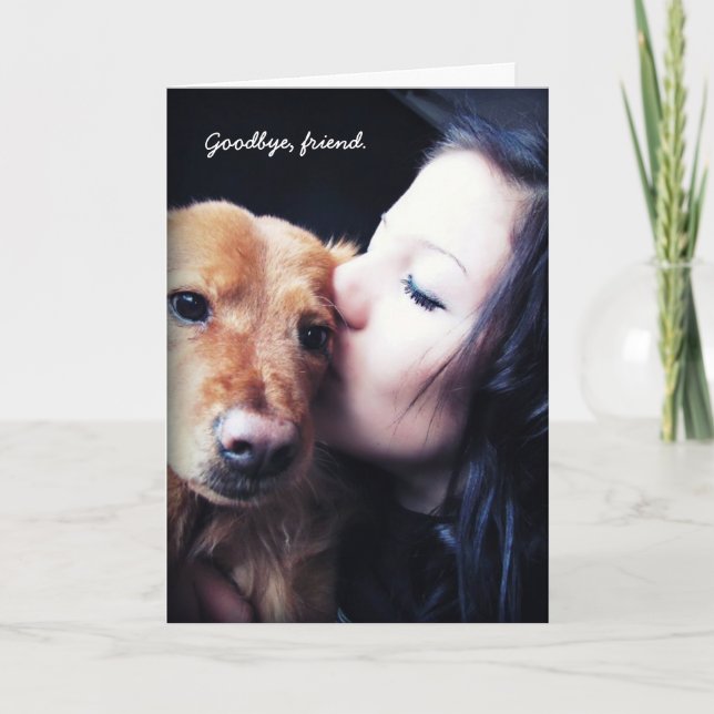 Merci vétérinaire pour animaux de compagnie Rainbo (Devant)