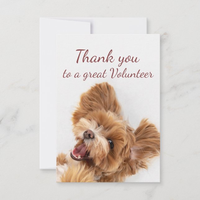 Merci Volontaire Amusant Floofy Happy Chien Chien  (Devant)