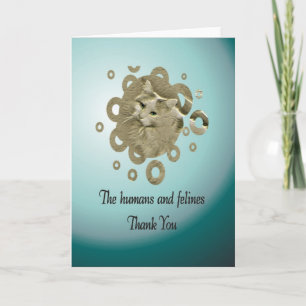 Merci volontaire, délivrance de chat