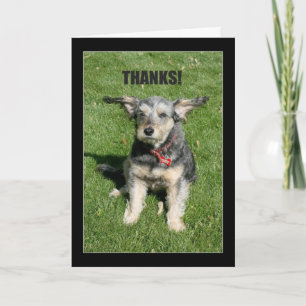 Merci ! Votre Gentillesse M'A Presque Éteint !