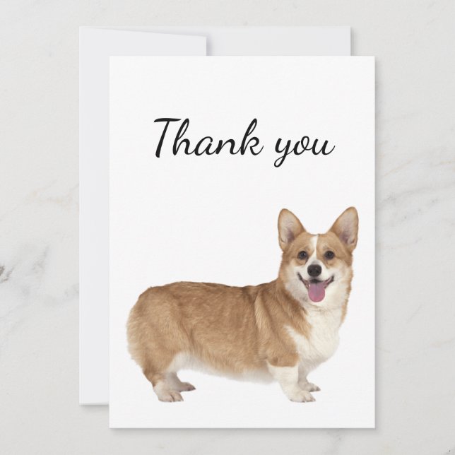 Merci Welsh Corgi Chien animal animal de compagnie (Devant)