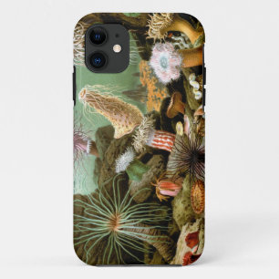 Merculiano Seeanemonen iPhone 5 kaum dort Fall Case-Mate iPhone Hülle