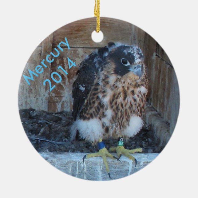 Mercury-Verzierung 2014 Keramik Ornament (Hinten)