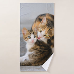 Mère Chat aime les mignons Bébé Kitten Animal Anim