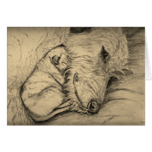 Mère et chiot de chien-loup irlandais