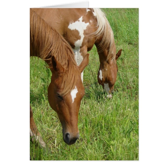 Mère et Fils, Chevaux (Devant)