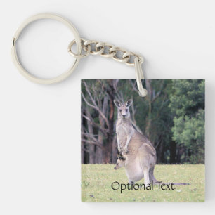 Mère Kangaroo avec bébé Joey dans sa poche
