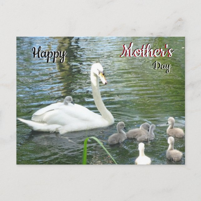 Mère Mignonne Swan & Bébés Carte postale Fête des  (Devant)