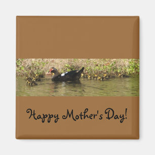 Mère's Day Muscovy Duck Magnet