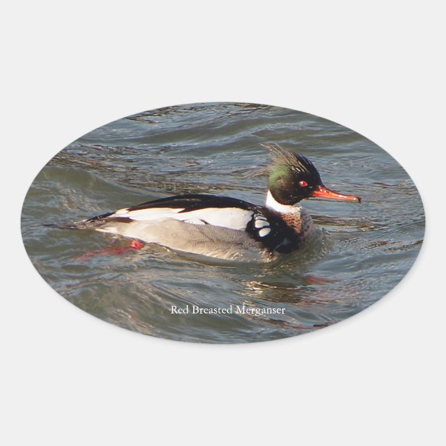 Merganser Aufkleber (Vorderseite)