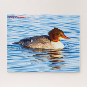Merganser Duck