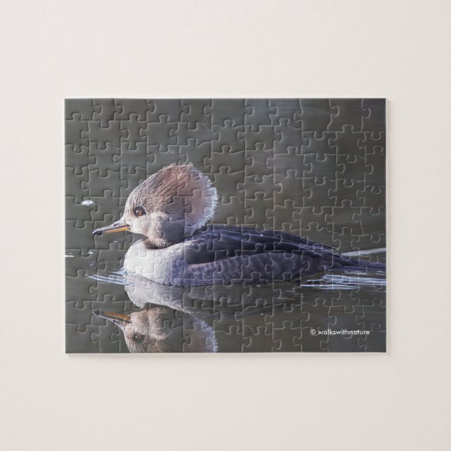 Merganser-Duck-Female am See (Horizontal)