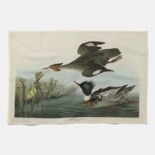 Merganser, Rotbrüste, Audubons Vögel von Amerika Geschirrtuch