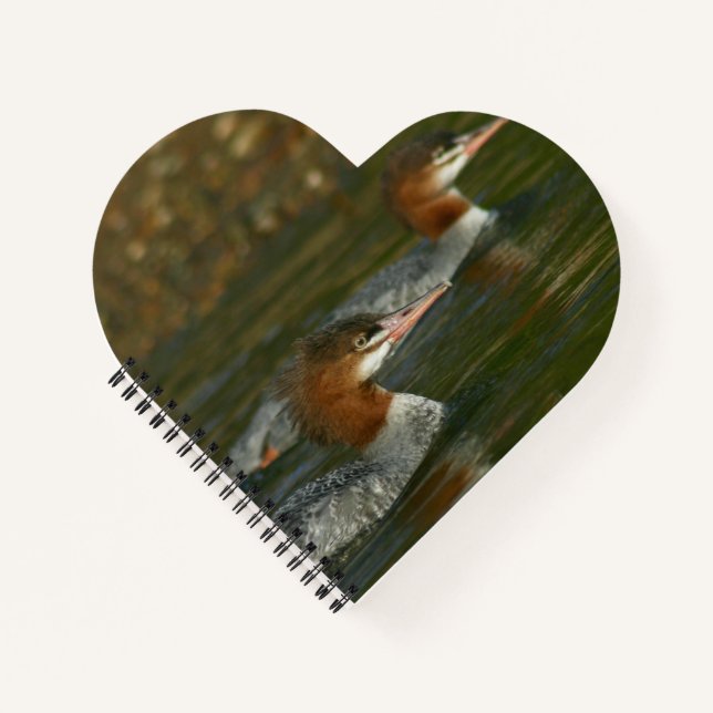 Merganser Spiral Notebook Notizbuch (Vorderseite)