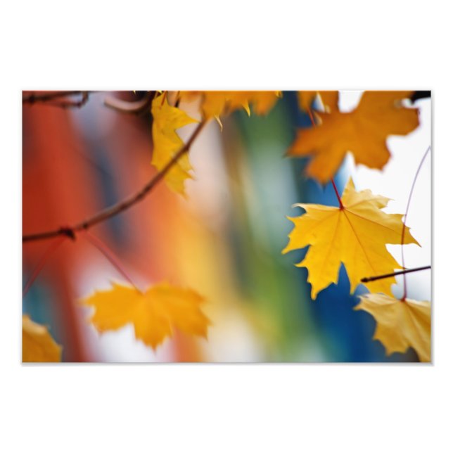 Meridian Fall. Fotodruck (Vorne)