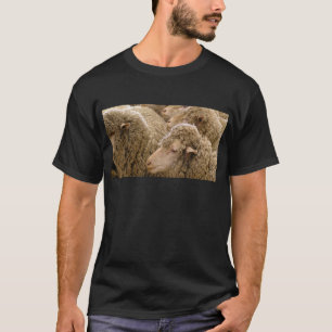 Merinoschafe T-Shirt
