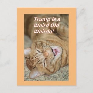 Merkwürdig Trump Feiertagspostkarte