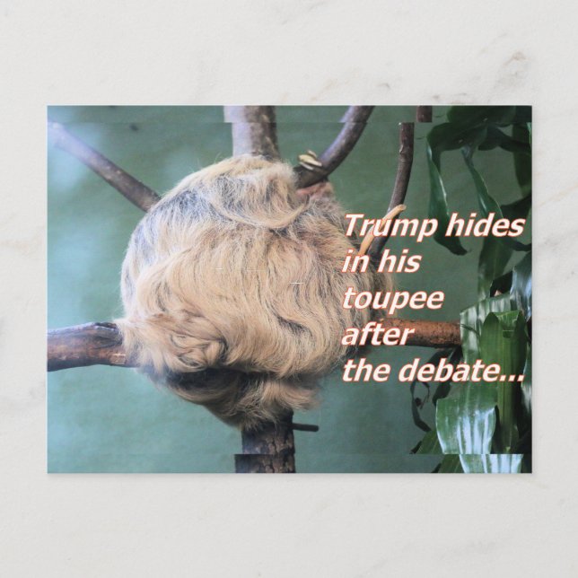 Merkwürdig Trump hat Postcard verloren Postkarte (Vorderseite)