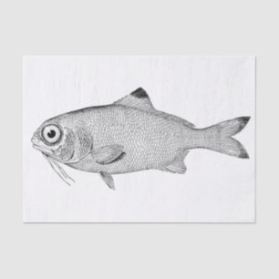 Merkwürdiges Vintages Fischzeichnen Seidenpapier