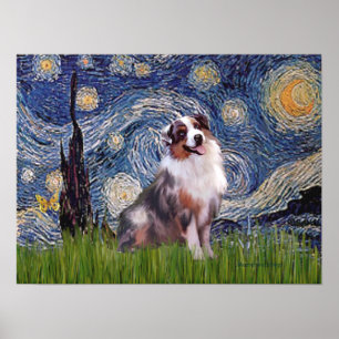 Merle Aussie Shep - Starry Night Poster