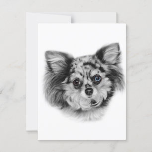 Merle Beauty - Handgemalt Chihuahua Portrait Postkarte