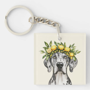 Merle Great Dane Chien Lemon Crown