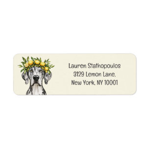 Merle Great Dane Dog Lemon Crown