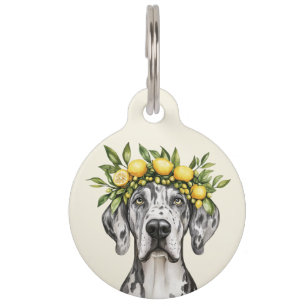 Merle Great Dane Dog Lemon Crown Haustiermarke