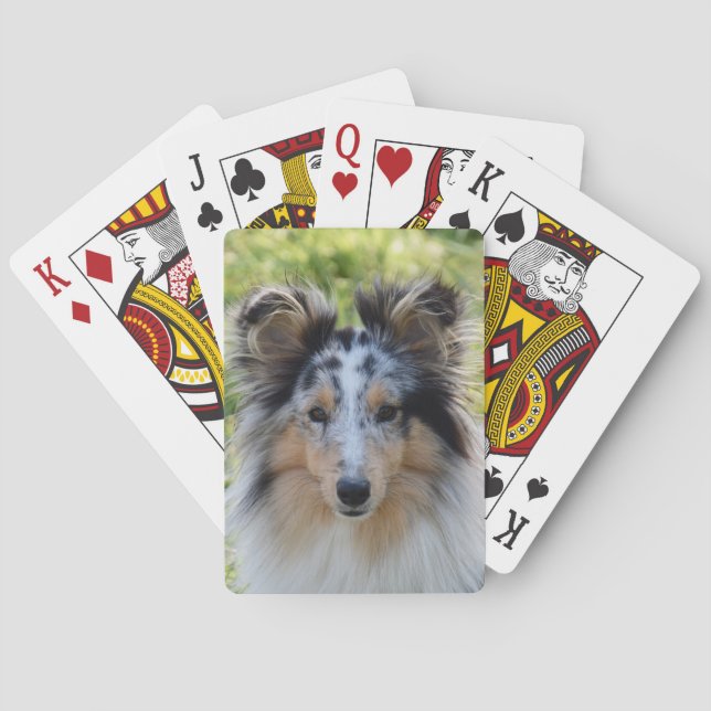 Merle Shetland Sheepdog - Sheltie Dog Spielkarten (Rückseite)