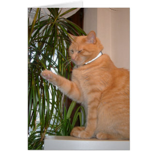 Merlin 1