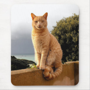 Merlin an der Gartenmauer Mousepad
