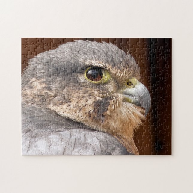 MERLIN FALCON BIRD OF PREY (Horizontal)