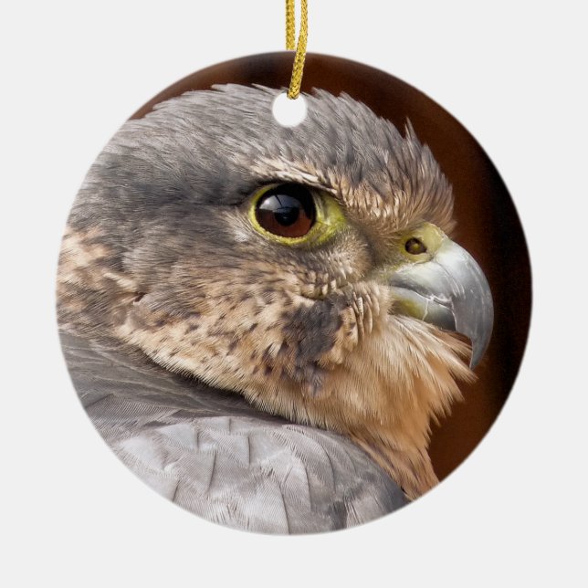 MERLIN FALCON BIRD OF PREY KERAMIK ORNAMENT (Vorne)