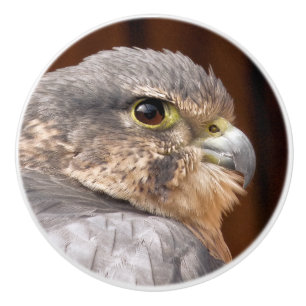 MERLIN FALCON BIRD OF PREY KERAMIKKNAUF