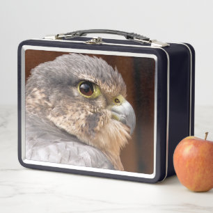 MERLIN FALCON BIRD OF PREY METALL BROTDOSE