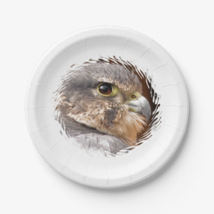 MERLIN FALCON BIRD OF PREY PAPPTELLER