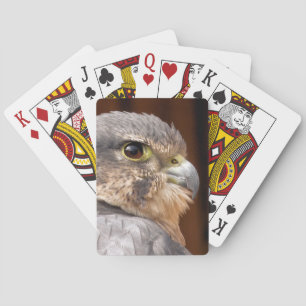 MERLIN FALCON BIRD OF PREY SPIELKARTEN