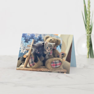 Merlin & Guinevere (1) - Carte de voeux Cat / Kitt