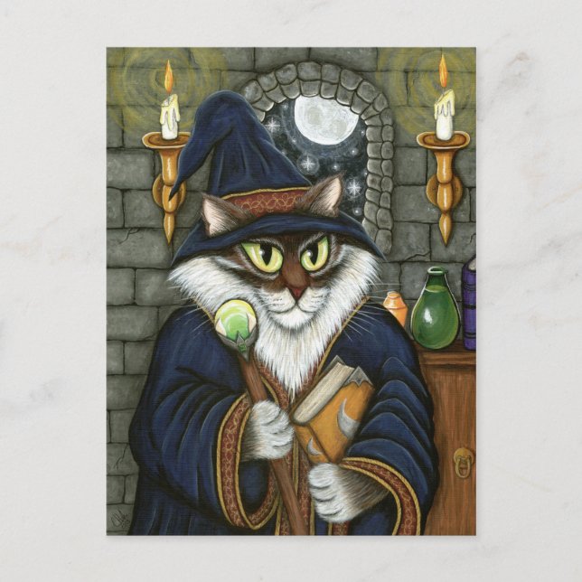 Merlin Magician Wizard Cat Magic Zauberer Fantasie Postkarte (Vorderseite)