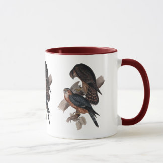 MERLIN- oder Tauben-Falke Tasse