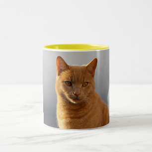 Merlin und das orb zweifarbige tasse