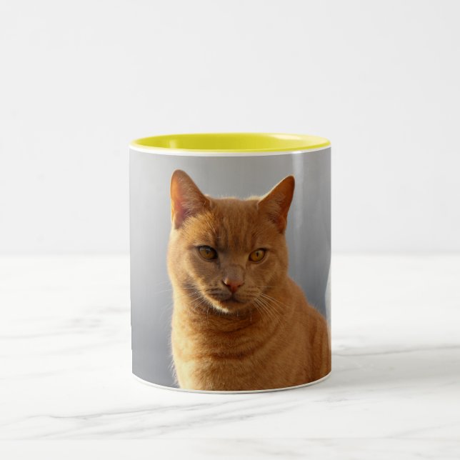 Merlin und das orb zweifarbige tasse (Mittel)