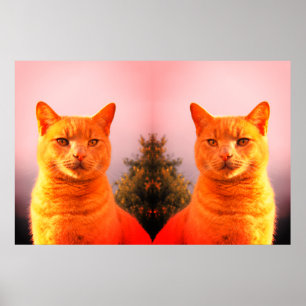 Merlin und Engel-Zwillinge-Katzen-Poster Poster