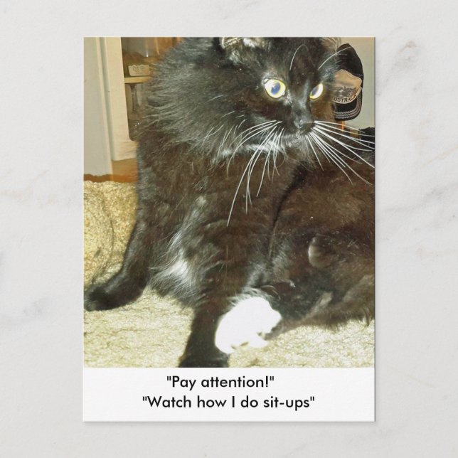 Merlins Sit-up-Postkarte Postkarte (Vorderseite)