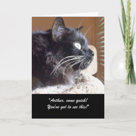 Merlins View Story Grußkarte Karte