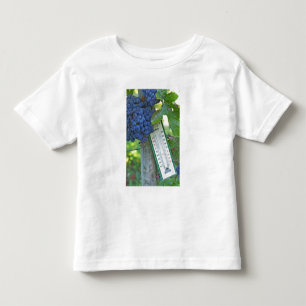 Merlot Trauben im Chateau la Grave Figeac, Kleinkind T-shirt