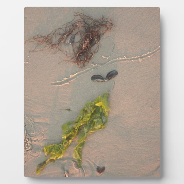 Mermaid Fotoplatte (Vorderseite)